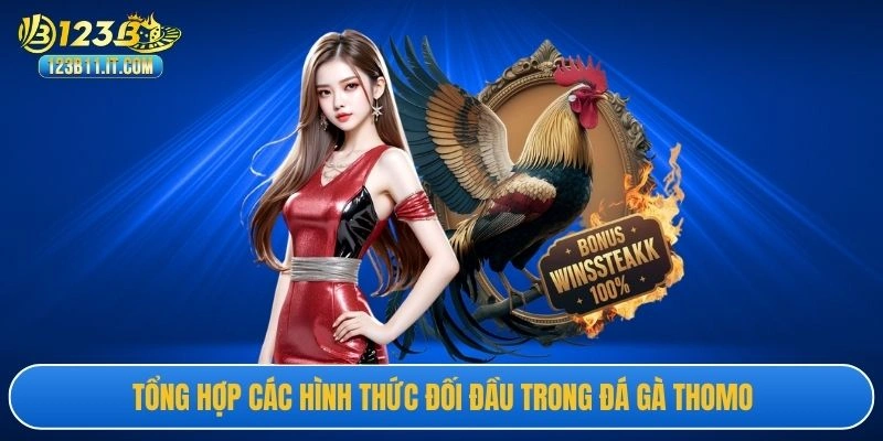 Tổng hợp các hình thức đối đầu trong đấu trường Thomo